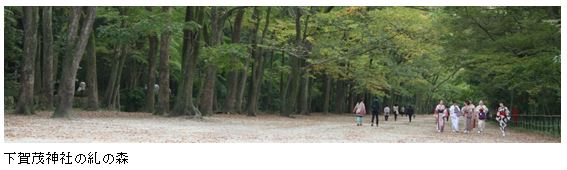 下賀茂神社の糺の森